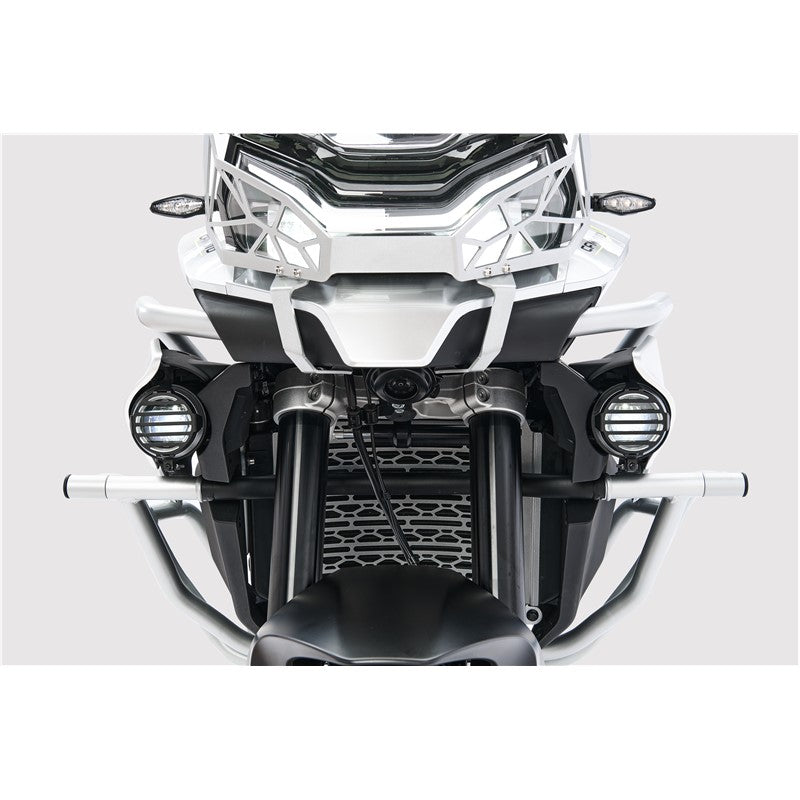 FOG LIGHT GUARDS