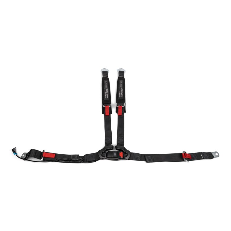 4-Point Harness (Passenger)
