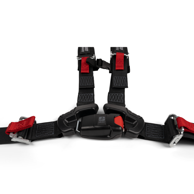4-Point Harness (Driver)