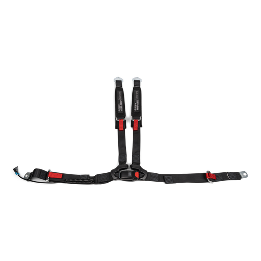 4-Point Harness (Passenger)